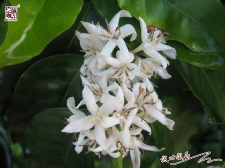 155264098710078.jpg 45.jpg