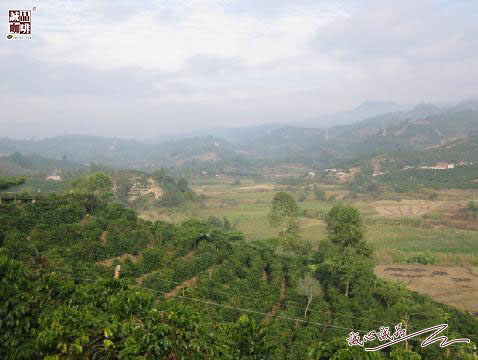 155264107613123.jpg 48.jpg