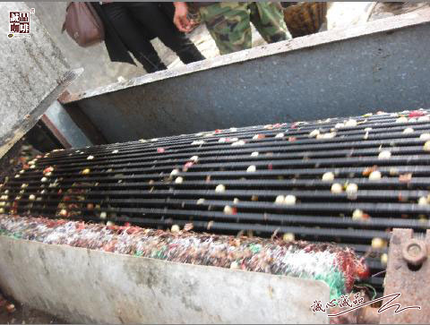 155264118540441.jpg 53.jpg