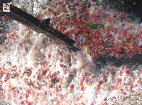 155264241627901.jpg 54.jpg