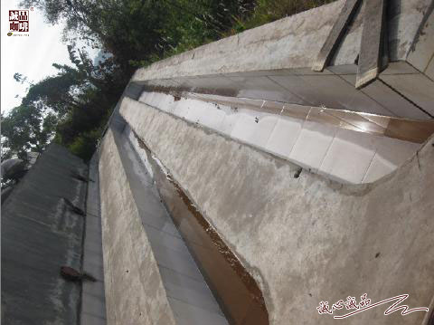 155264252860657.jpg 57.jpg