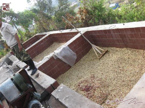 155264255111308.jpg 58.jpg