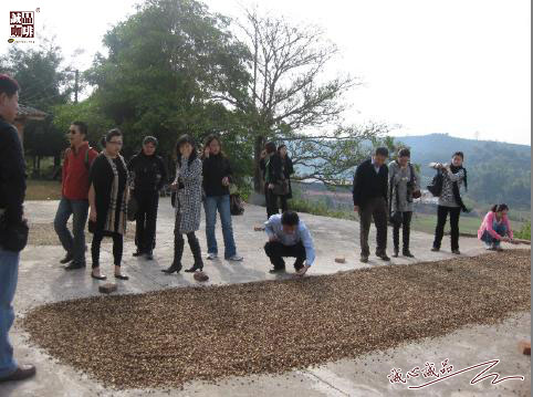 155264294068334.jpg 60.jpg