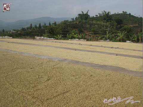 155264300739417.jpg 61.jpg