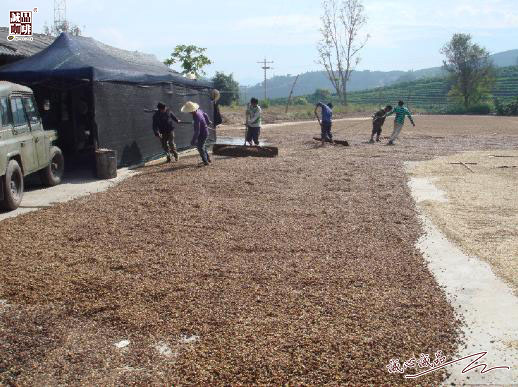 155264302268584.jpg 63.jpg