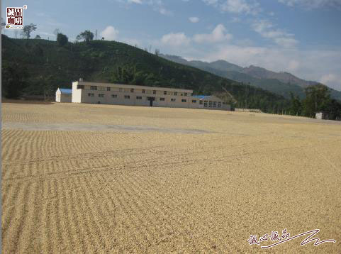 155264303482440.jpg 64.jpg